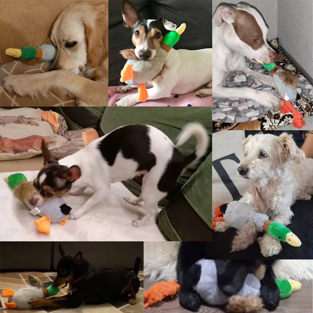 Plush Duck Squeaky Dog Toy - Chew Rope and Dental Cleaning Accessory for Pets
