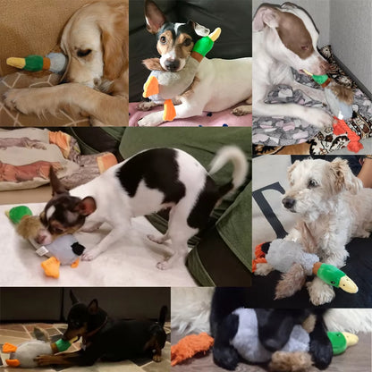 Plush Duck Squeaky Dog Toy - Chew Rope and Dental Cleaning Accessory for Pets